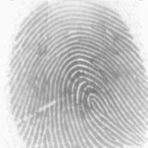 Fingerprint Segmentation Separates foreground from