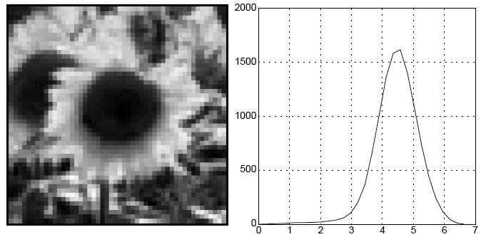 Scale-Normalized Laplacian-of-Gaussian ( G ( x, y; σ ) G ( x, y σ )) L = σ ; xx + yy 1-D Example Scale-normalized Laplacian shows the strongest