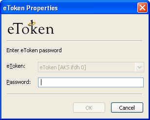 Enter your current etoken password in the Current Password field and, the new password in the New Password field.