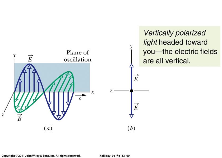 The electric field in the light pushes electrons back and forth on long molecules in the Polaroid (like a little tiny BBQ grill), absorbing the light s energy and producing heat.
