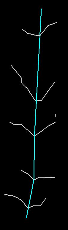 Figure 6: Scanned knots direction SCANNING OF SINGLE BOARDS Larch boards (Larix kaempferi (LAMB) CARR) The