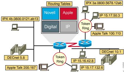 Multi-protocol Routing Routers are capable of running multiple routing protocols (RIP, IGRP, OSPF, etc.