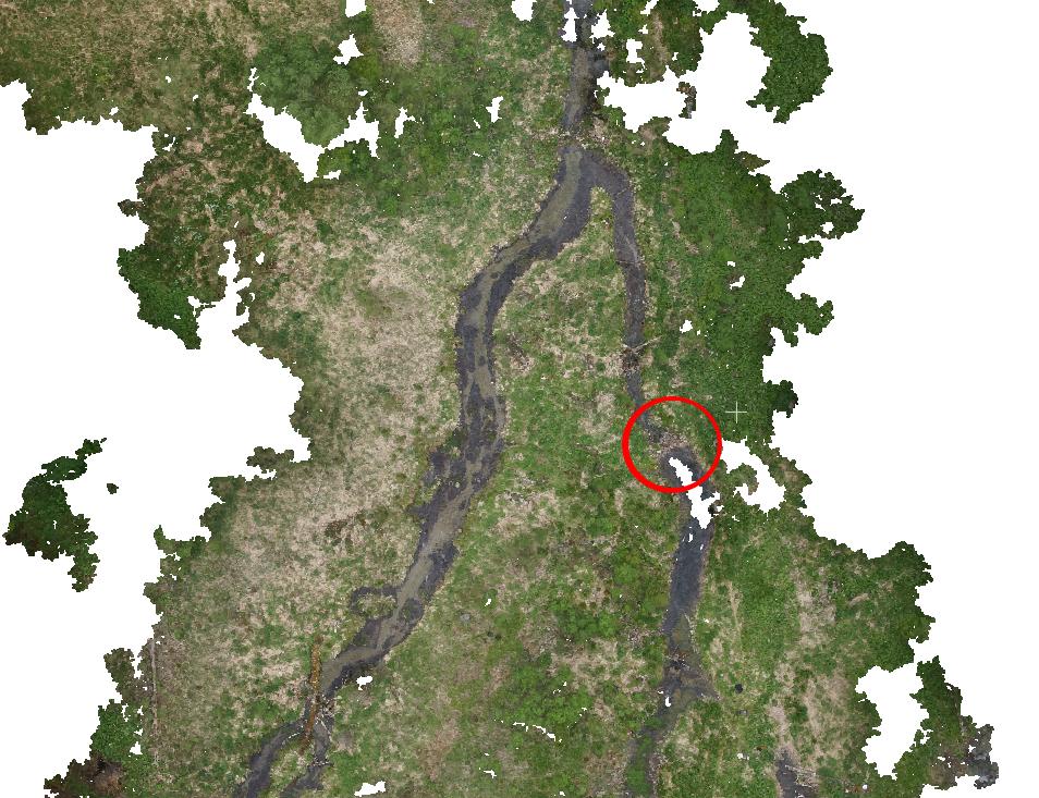 Data overview, a) LiDAR Data, b) photogrammetric data, the marked area shows the area of the beaver dam which can be seen in a closer look in Figure 4 can t be considered as similar since the one