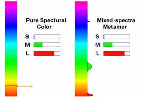 Color perception Different spectra can result in identical sensations, called metamers Color perception results from the simultaneous