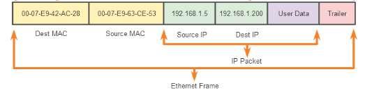 Ethernet MAC Addresses Unicast MAC Address Broadcast MAC Address Multicast MAC Address Used to address a group of nodes in the segment The multicast MAC address is a special value that