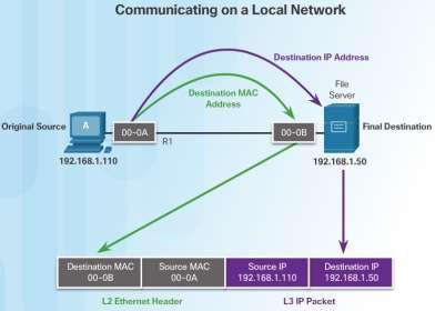 MAC and IP ARP Functions Resolving IPv4
