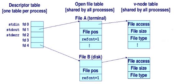 file descriptors -