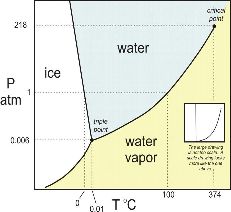 Phase diagram of strongly
