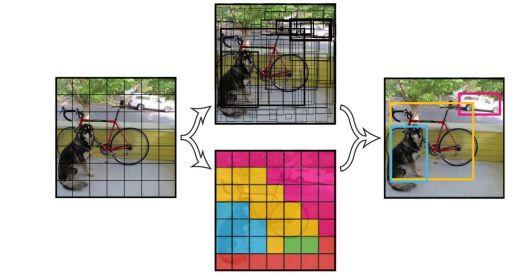 You Only Look Once (YOLO) Divide image into S x S grid Within each grid cell