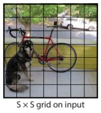 YOLO Terminology An image is divided by S S grid cells.