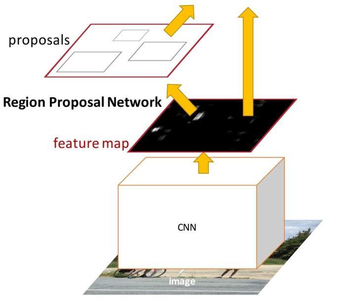 Region Proposal Networks (RPN) Goal Share computation with a Fast R-CNN object detection