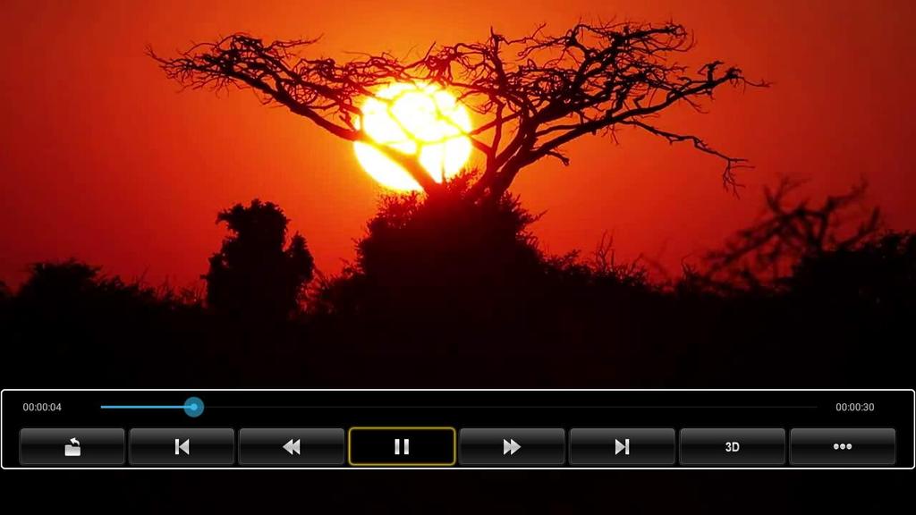 8.2 Movie Player The Movie Player supports many video formats, including AVI,