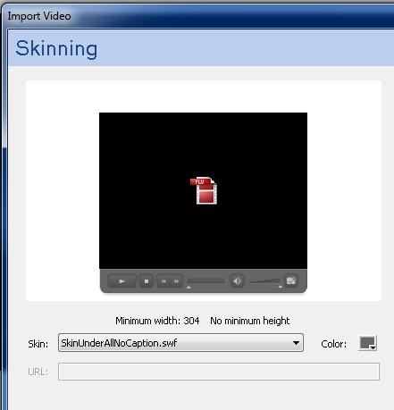 You will now select a skin for the playback, for the example we used SkinUnderAllNoCaption.