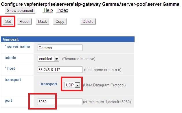 In the host text field type the IP address of the Gamma SIP peer. Click Create.