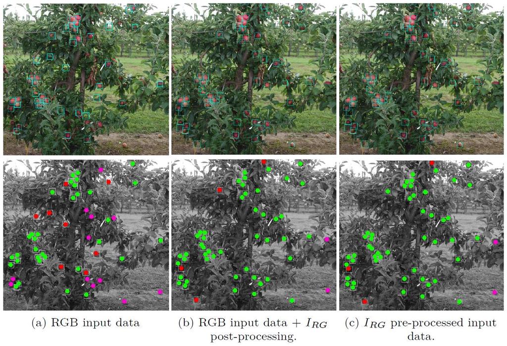 Enhancing algorithms: integration Application 1: visual fruit