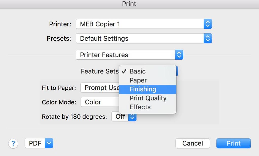 printing, select the Printer Features menu