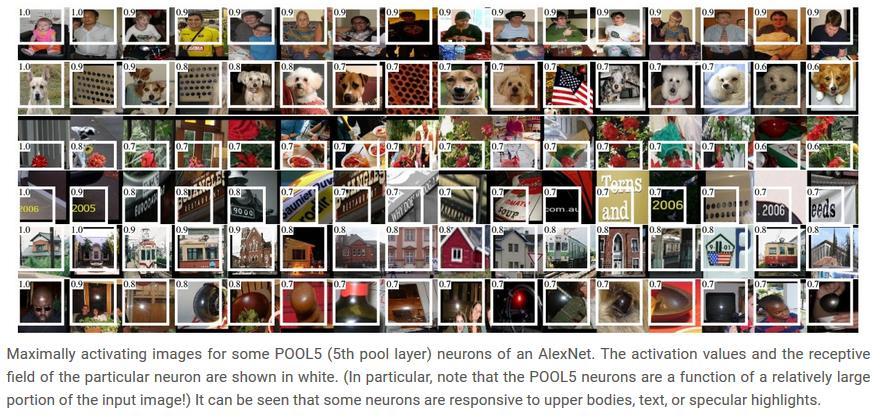 Visualize the inputs that maximally Keep track of which images activate a