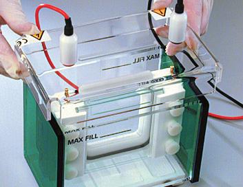 Once the gels have polymerised, the complete gel assembly is simply removed from the casting base and placed in the running tank