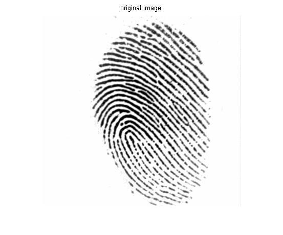Where (x i x n ) and (X i X N ) are the set of minutia for each fingerprint image respectively. And m is minimal one of the n and N value.