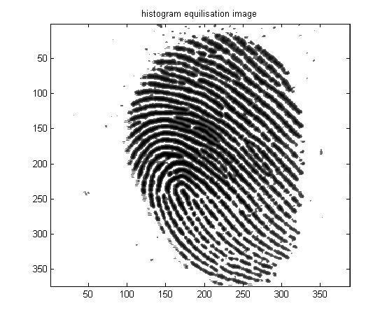 For each fingerprint, translate and rotate all other minutia with respect to the reference minutia according to hough transform. B.