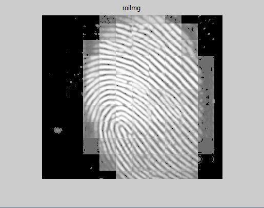 matching is due to some fingerprint images with