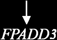 The design enforces commutativity in the operation by treating all the inputs the same way. This characteristic cannot be obtained with a network of FPADD2s.