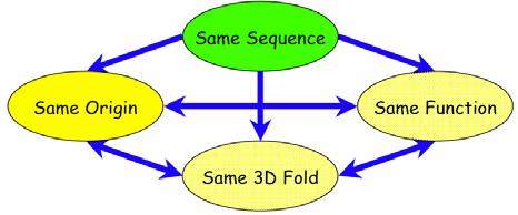 Importance of Similarity similar sequences: probably have the same ancestor, share the same structure, and have a similar biological