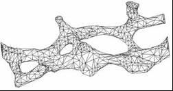 Neural-Network Grid-based Re-meshing for micro-mri Technology 35 Rapid Prototyping models of bone micro-structure: (a) specimen