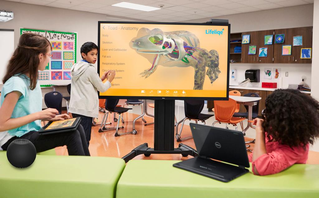 Dell Large Monitors offer a variety of technologies and features that can help students build essential skills such as teamwork, communication, creativity and critical thinking.