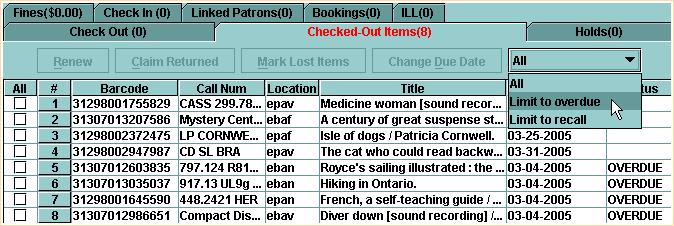 In this example, the patron has fourteen items checked out. If the patron has any overdue items, the system displays the tab's title in an alert color [the default color is red].