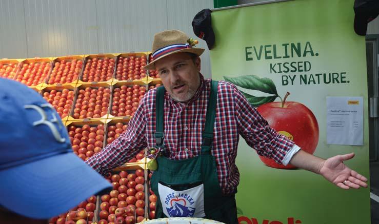 Obchodníci často poukazujú na to, že naši ovocinári nedokážu dodať potrebné množstvo a kvalitu, navyše v požadovanom balení. V Dunajskej Lužnej nájdeme príklad, ako sa to dá robiť.