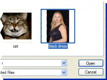 Click the Load Picture button above the picture preview box to select your picture file. In this example, the "black dress.