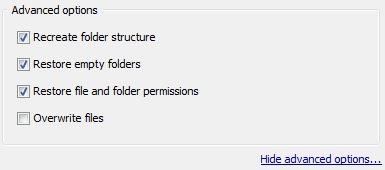 a. Recreate folder structure This option is selected by default. It instructs the Backup Client to recreate the folder structure in the restore folder.