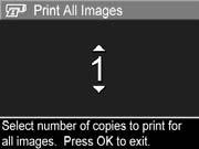 If you selected Print as the destination, the Print All Images sub-menu appears. Use the buttons to specify the number of copies you want to print (up to 5), then press the button.