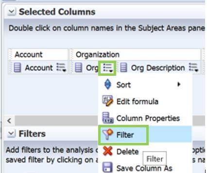 Add a Filter directly from a selected column o Select the drop down icon on the right of Org o Select the