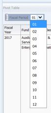 Period up to the Pivot Table Prompts section Save, select Done
