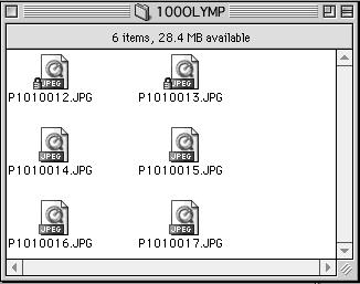 Downloading images to your computer Image files (JPEG files) with files names such as P1010001.JPG are displayed.