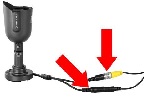 5. Connect the camera cable to any of the