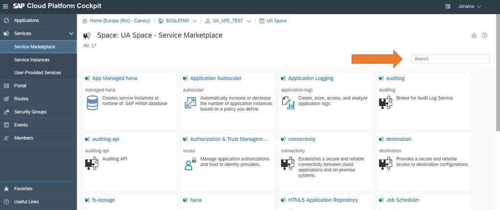 6. Select Services Service Marketplace. Note In this tab you can visualize all services available for your SPC subaccount. 7. Search for nfe using the Search bar, in Service Marketplace tab.