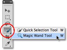 Selecting with the Magic Wand tool The Magic Wand tool lets you select a consistently colored area, such as a background, without having to trace its outline. 1.