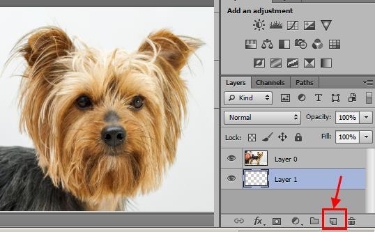 parts of the layer above it remain visible. Creating a clipping mask works well if you want to fill type or a shape with different images on multiple layers. 1. Open dog-grooming.jpg. 2.