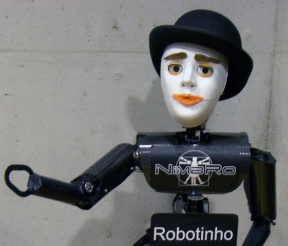 Our Cognitive Robots
