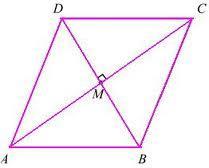 Special Quadrilateral Angle Properties 3.