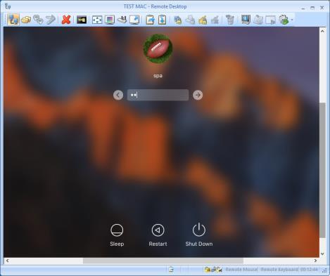 Press the Connect button (or click the Remote Desktop button on the Connection tab) The program will connect to the Host and open a separate remote desktop control window, showing the desktop of the
