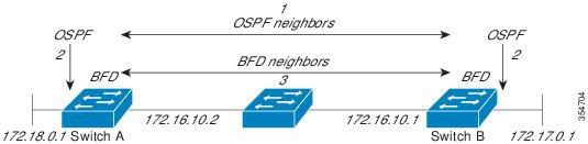 Restrictions for Bidirectional Forwarding Detection Configuring Bidirectional Forwarding Detection Restrictions for Bidirectional Forwarding Detection BFD works only for directly connected neighbors.