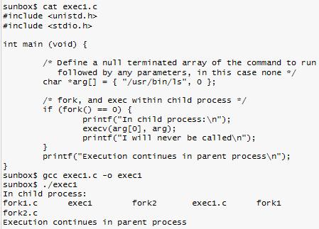 Example: execv/execvp int execv(const char *path, char *const argv[]); //the first element in argv must be command name execvp() perform the same purpose except that it will use