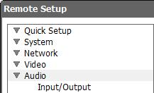 Network Camera Audio You can set up audio in and out. NOTE: This is supported for the audio supported model only. Input/Output Audio CODEC: Select an audio codec.