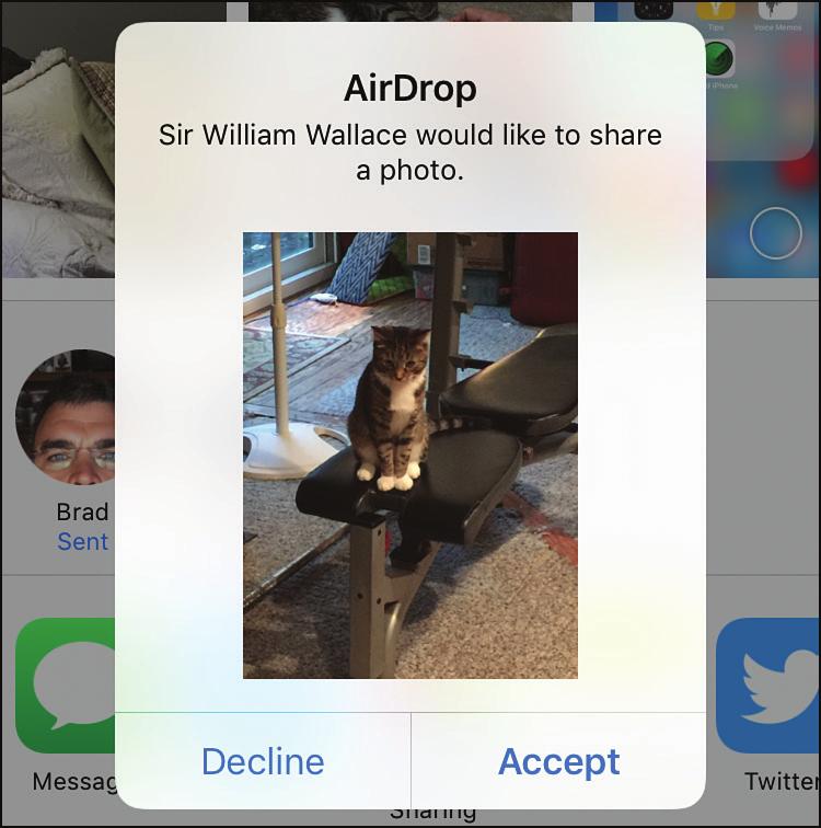 Connecting Your iphone to Other iphones, ipod touches, or ipads 43 Using AirDrop to Work with Content Shared with You When someone wants to share content with you, you receive an AirDrop sharing