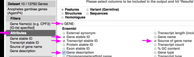 Show Gene name (or symbol) and Gene description (or function) Select one or more of the GO (Gene Ontology) attributes from the External section. How many of these 10 OBP genes have GO terms?